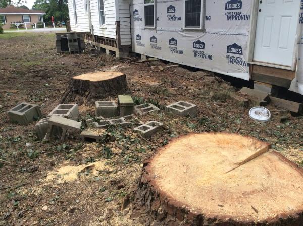 A&H Precision Tree Service