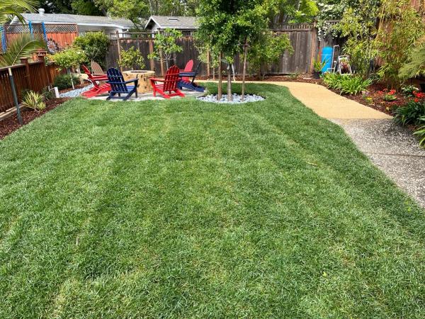 AD Garden