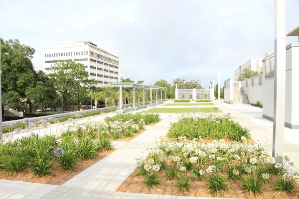 Conrad Design & Landscape