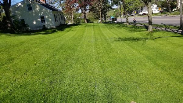 Coleman Landscaping Experts LLC