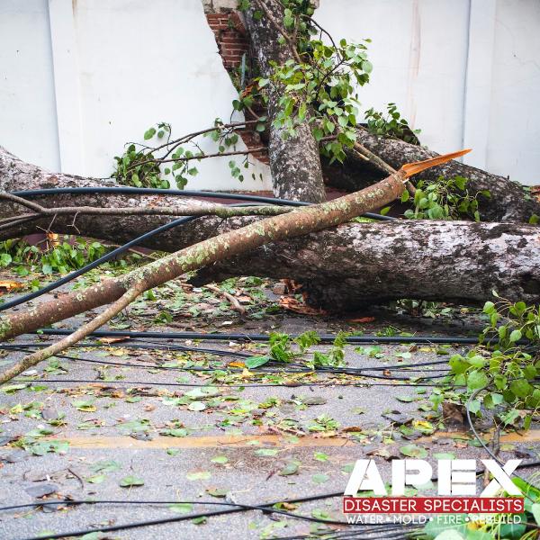 Apex Disaster Specialists