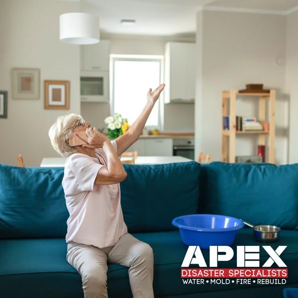 Apex Disaster Specialists