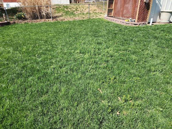 American Topsoil