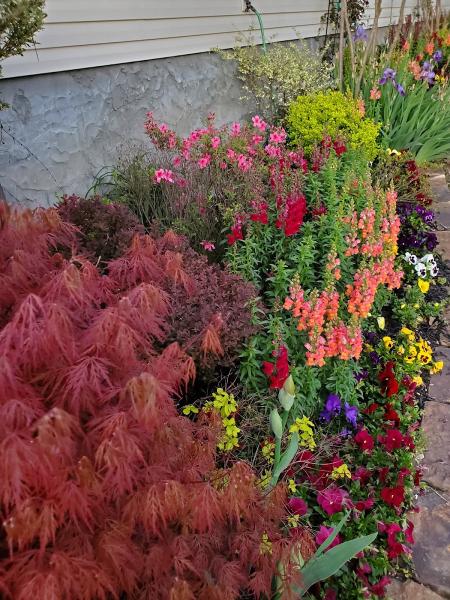 Greenscapes Total Lawncare & Landscaping Service