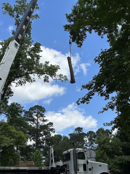 Eben Gray's Tree Services