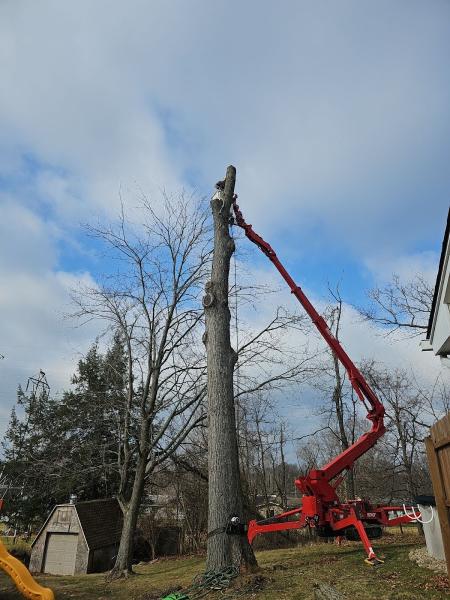 Starwood Tree Service LLC