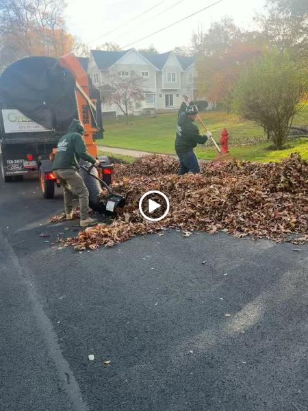 Greener Lawn Maintenance LLC