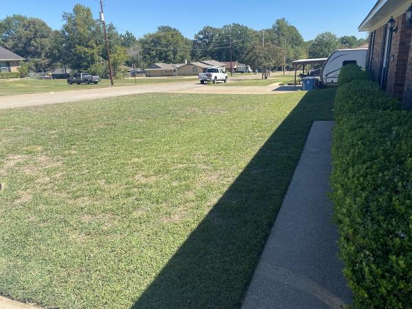 T-Tom's Lawn Care