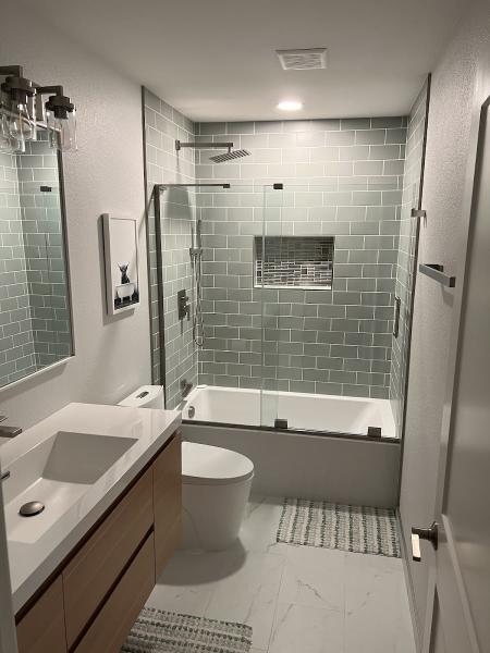 Lalich Remodels and Repairs
