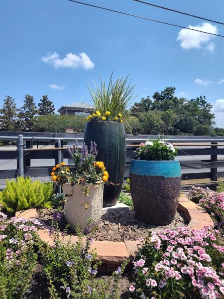 Village Palms Landscaping