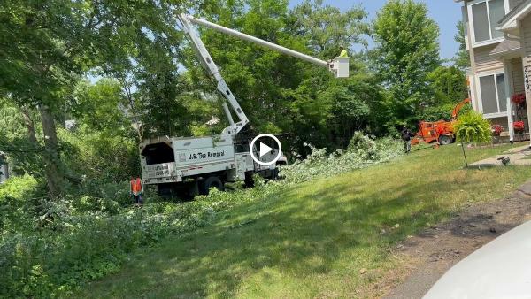 US Tree Removal