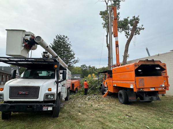 US Tree Removal