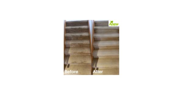 Anew Carpet Cleaning