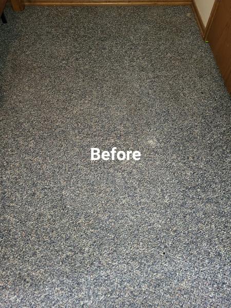 Anew Carpet Cleaning