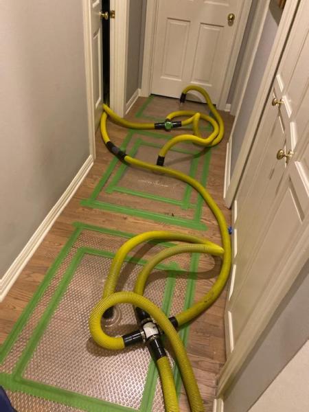 Action Plus Carpet Care & Restoration