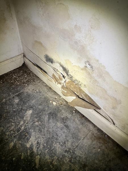 On the Mark Home Inspections