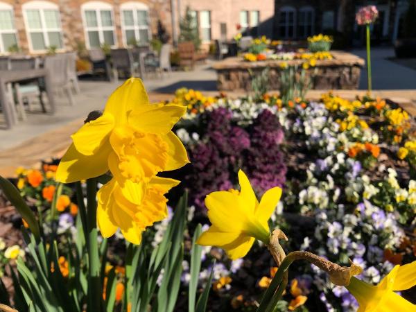 Nature Green Landscape & Lawn Care Service