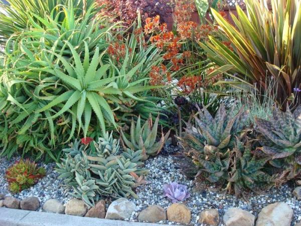 Marlow Sustainable Landscapes