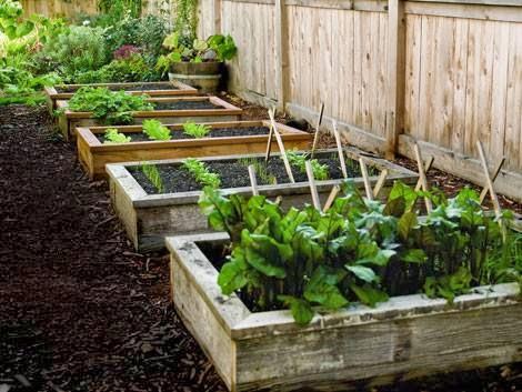 Marlow Sustainable Landscapes