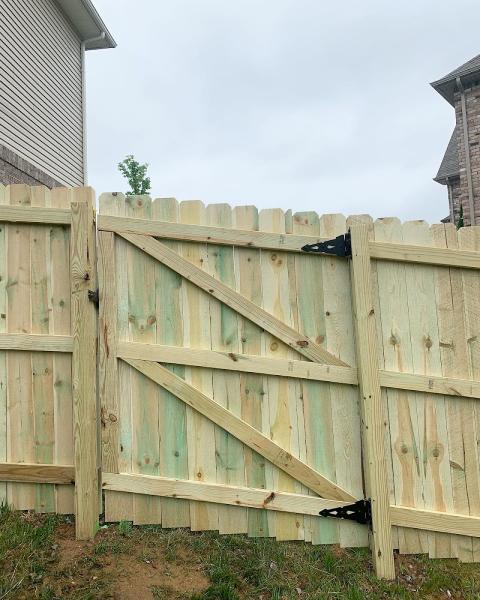 Truth Fence