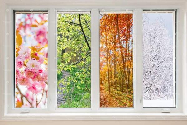 815 Window Cleaning LLC