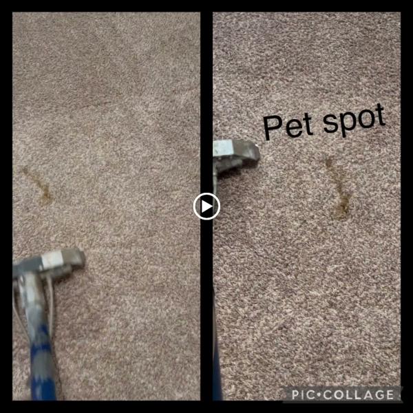 Greens Steem Clean Llc