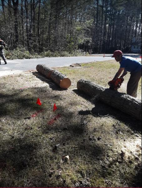 Timber Tree Service
