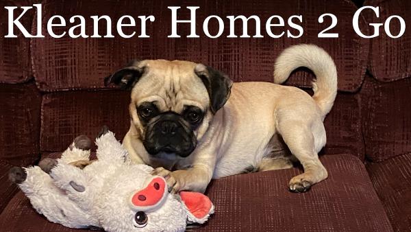 Kleaner Homes 2 Go LLC