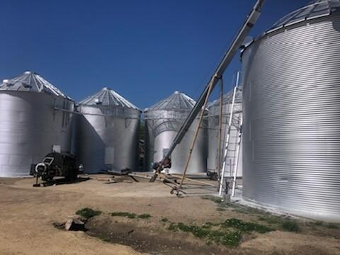 Joe Daley Painting & Protective Coatings