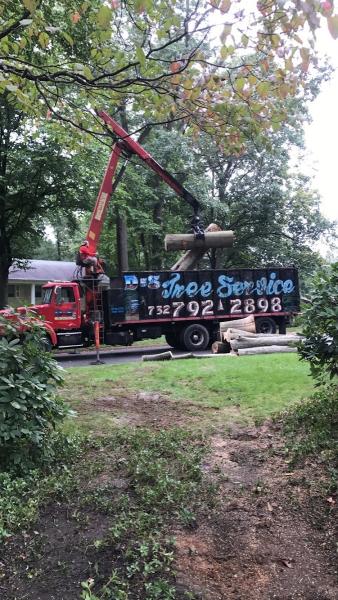 D&S Tree Service