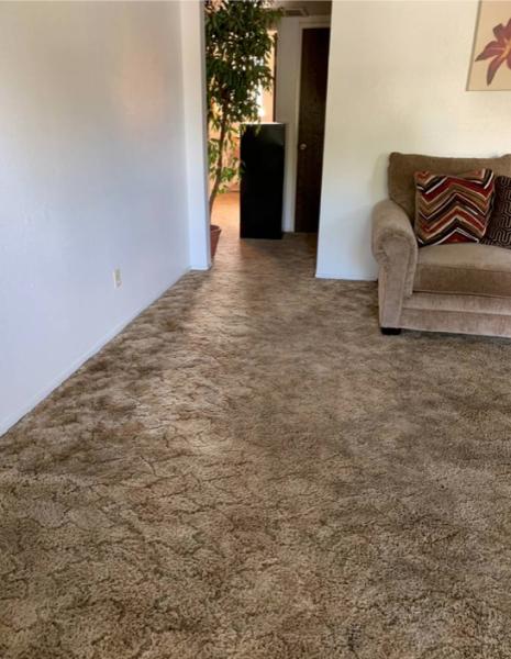 Dublin Carpet & Upholstery Cleaning