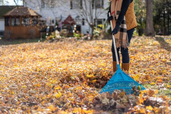 Barefoot Lawn and Snow
