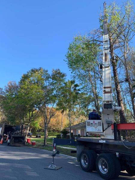 Advanced Professional Tree Service