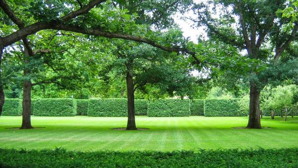 Preferred Expert Landscaping & Tree Service