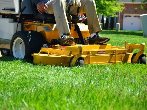 Preferred Expert Landscaping & Tree Service