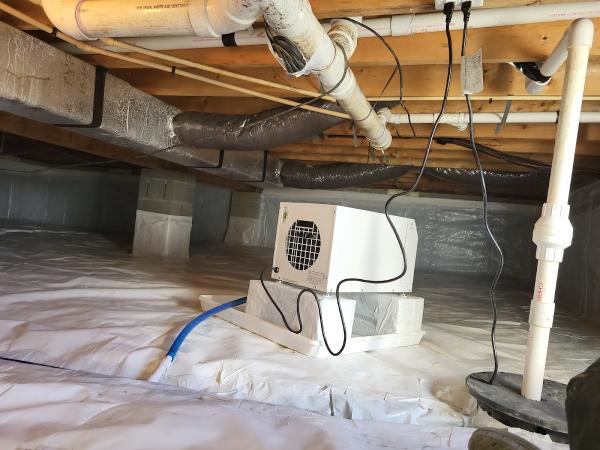 Quality Crawlspace and More