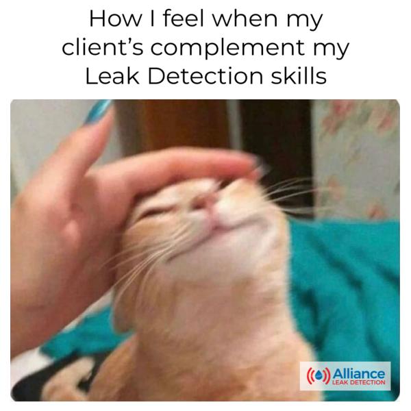 Alliance Leak Detection