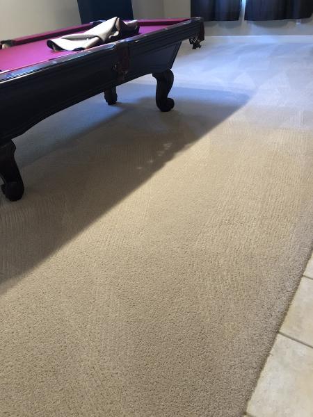 All Clean Chem-Dry Carpet and Upholstery Cleaning