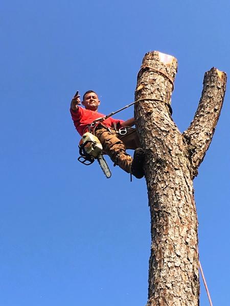 Bros Tree Service LLC