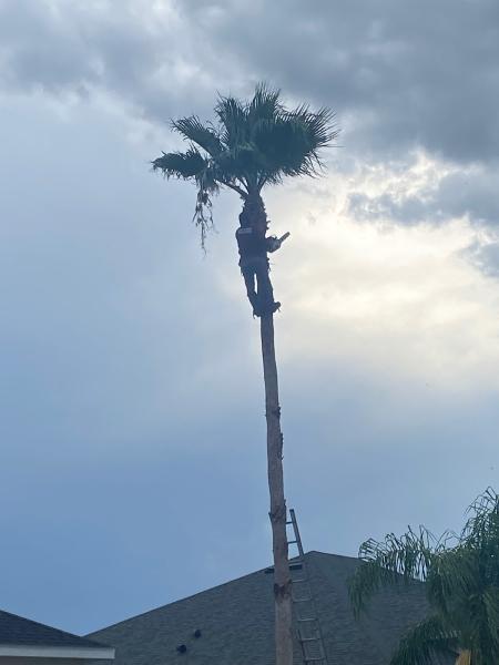Bros Tree Service LLC