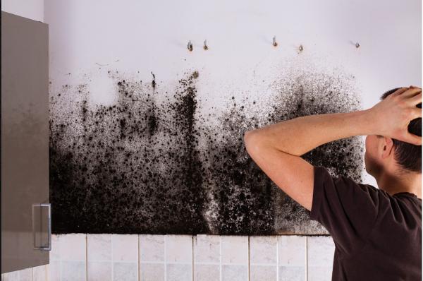 CSH Inspections
