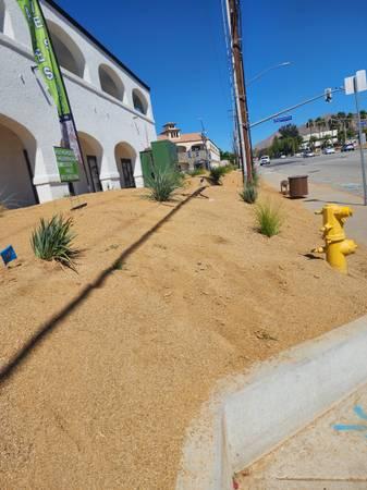 Santiago Gardening and Landscaping