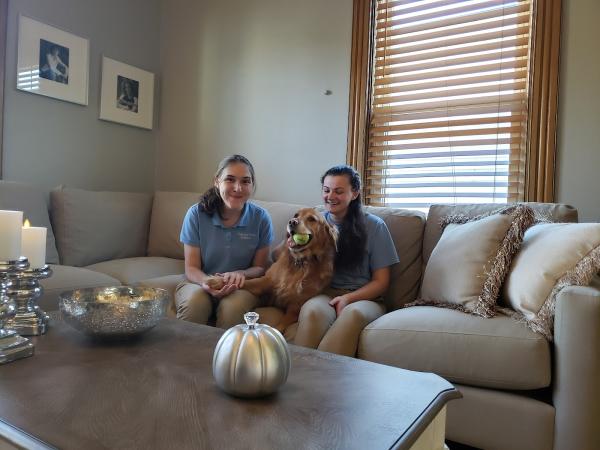 Tailored Home Solutions