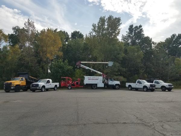 M & M Maintenance LLC