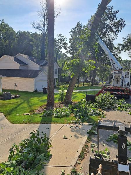Spaulding Tree Service