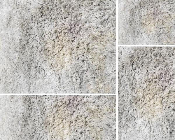 Nj Rug Cleaner