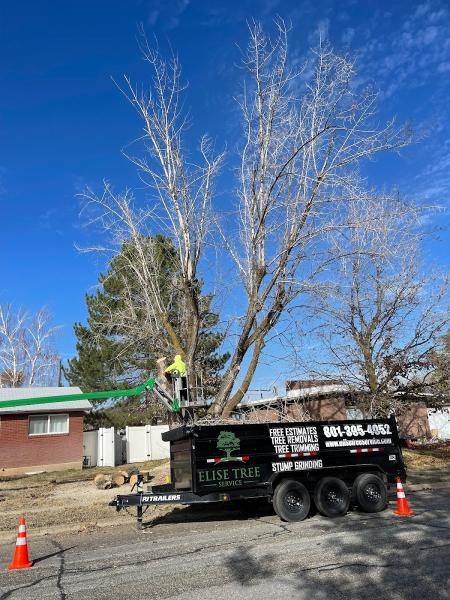 Elise Tree Service