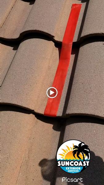 Suncoast Exterior Services