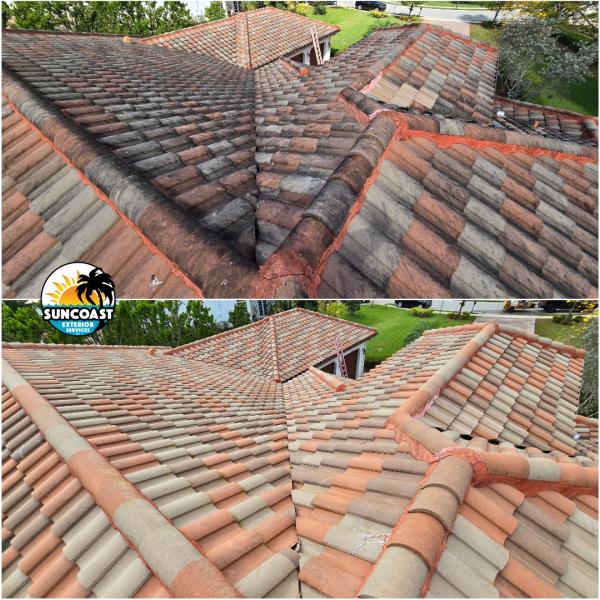 Suncoast Exterior Services