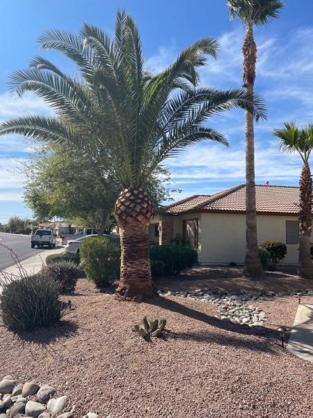 Tree Service Valle Del Sol Llc